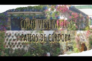 Mejor fecha para visitar los patios de Córdoba: ¡Descubre cuándo!