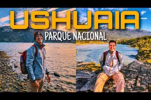 ¿Cómo recorrer el Parque Nacional de Ushuaia?