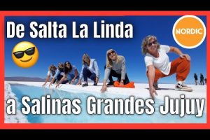 ¿Cuántos kilómetros hay de Salta a las Salinas Grandes?