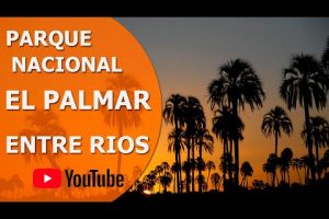 ¿Cómo ir al Parque Nacional El Palmar desde Colón?